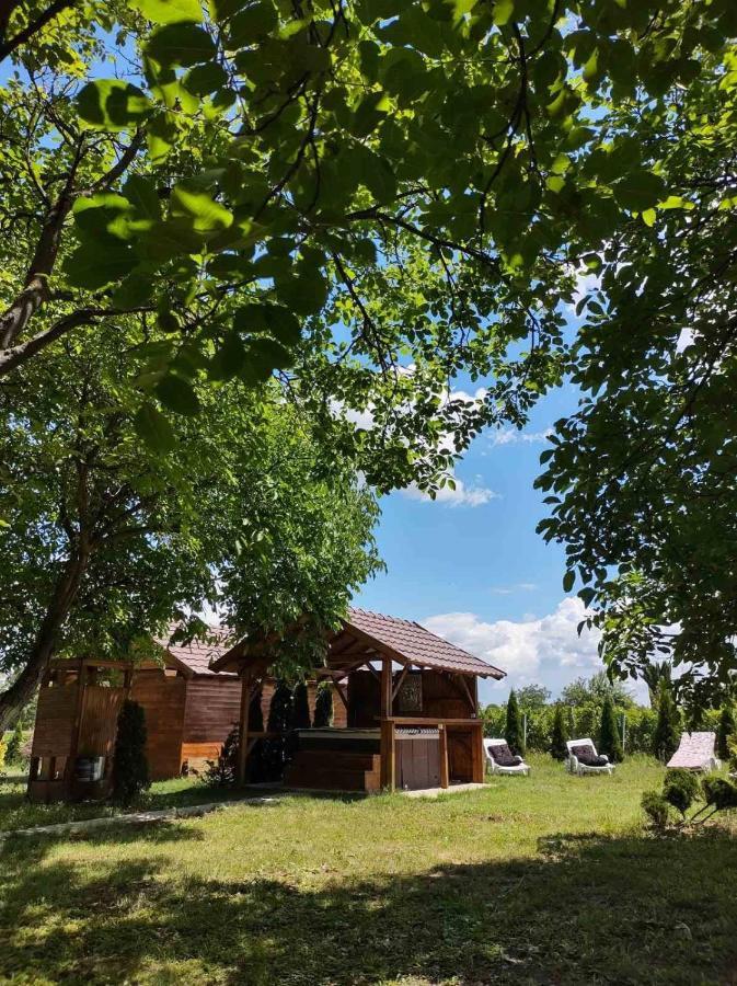 Villa Brvnara Aurora Vista Velika Remeta Exterior foto